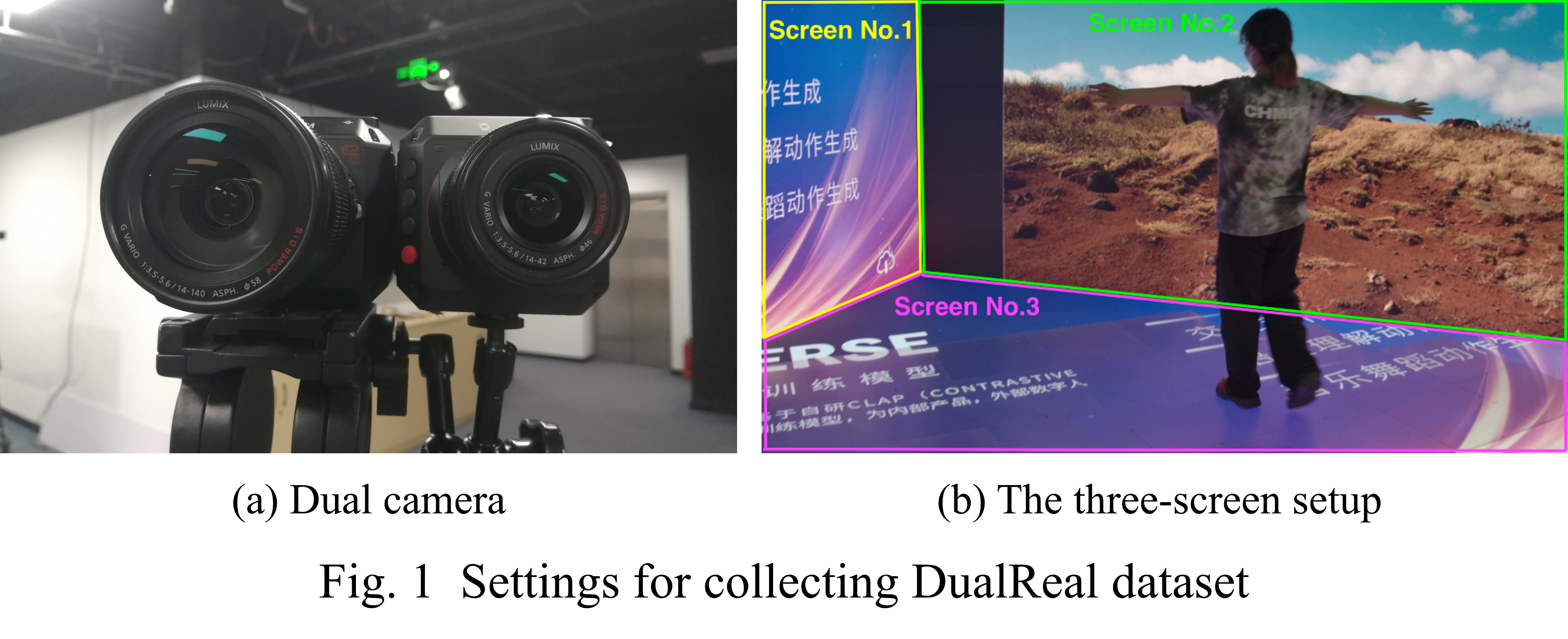 Settings of DualReal