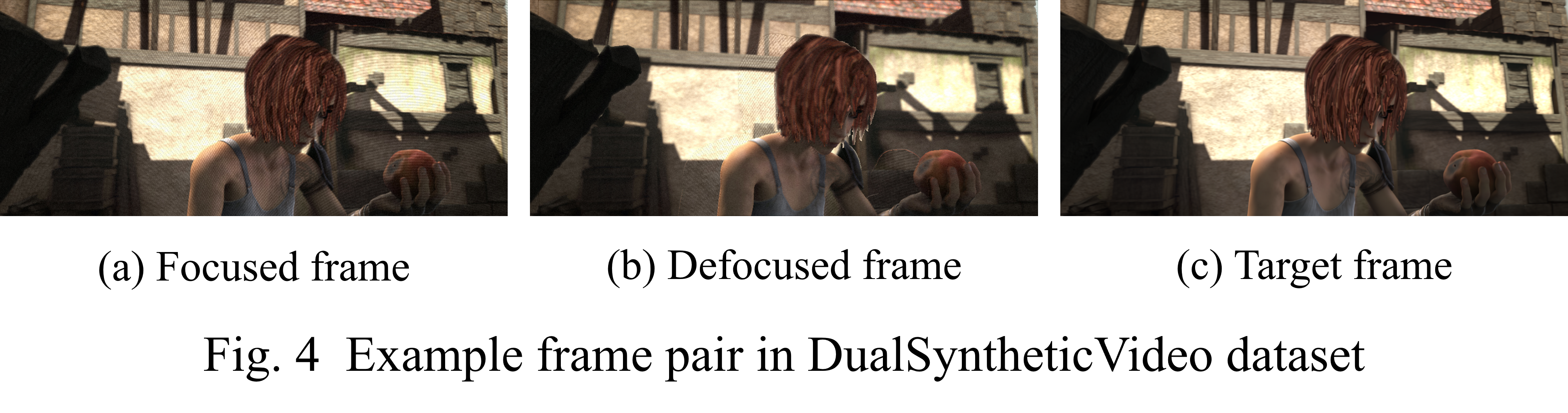 Example of DualSyntheticVideo